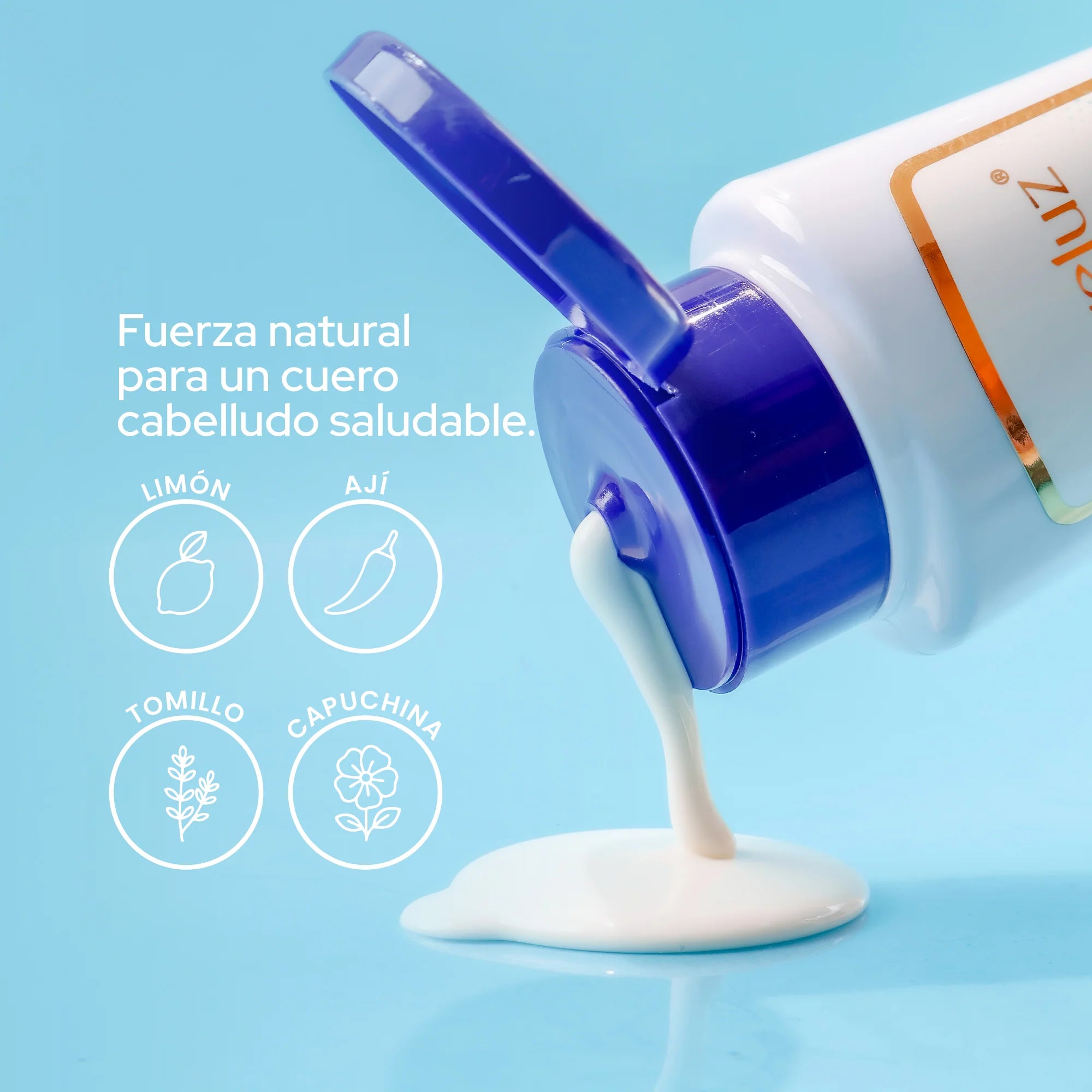 SHAMPOO ANTI CASPA ANYELUZ