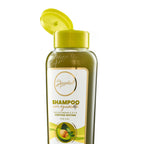 SHAMPOO AGUACATE ANYELUZ